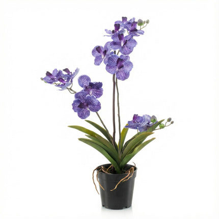 Orchidee Vanda kunstplant 60 cm - Paars - In pot