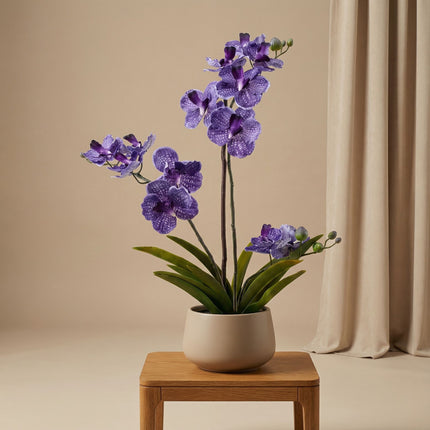 Orchidee Vanda kunstplant 60 cm - Paars - In pot