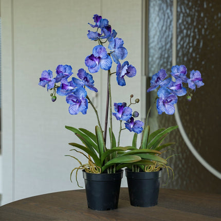 Orchid Vanda purple 2 pcs - Bundle product - Artificial plants