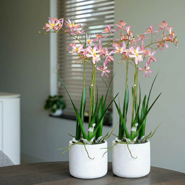 鉢・プランター Wild Heaven Pink Gracilius oko Renanthera Orchid pink 2pcs | Artificial Plants Bundle – urbanjngl.com