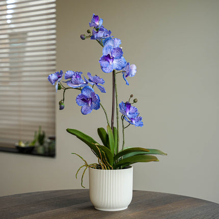 Orchid Vanda purple 2 pcs - Bundle product - Artificial plants