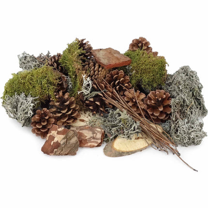 Forest mix with moss, pinecones, wood and bark for terrarium decoration