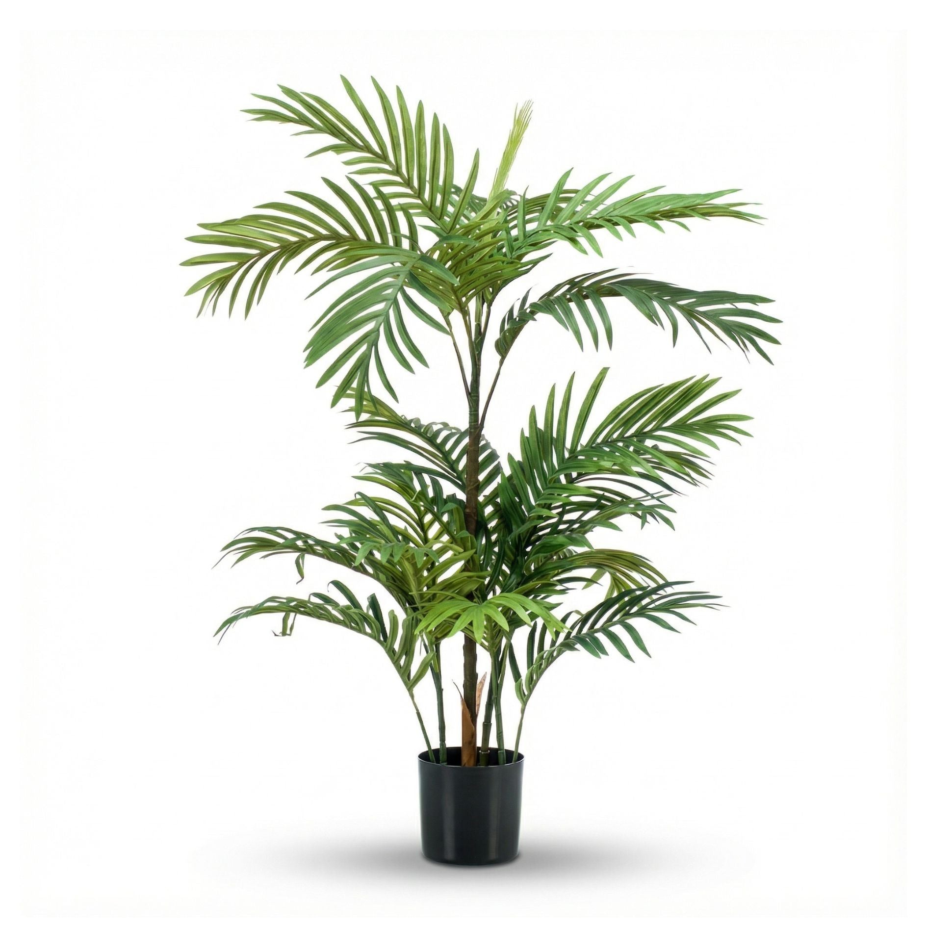 Palma Phoenix Artificiale 200cm – My Garden Palma Phoenix Artificiale 200cm – My Garden