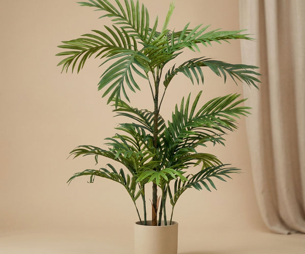 Palm Phoenix 90cm