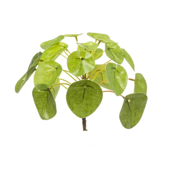 Pilea Mini Bush – Ø13 cm - Artificial