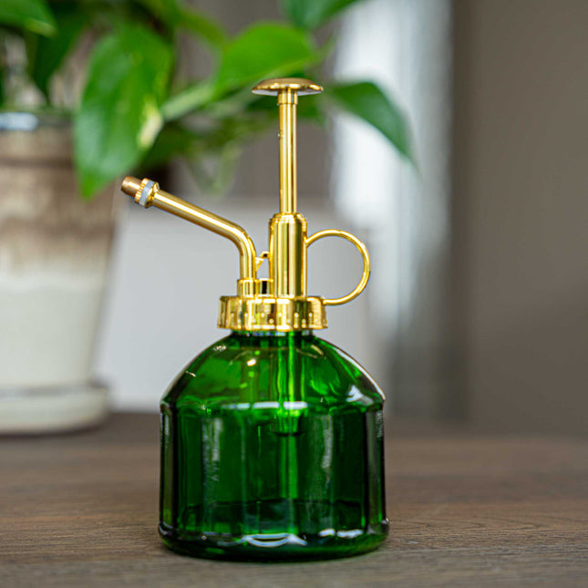 Plant mister - Plantenvernevelaar - Glazen plantenspuit - Groen glas - ↑ 16 cm