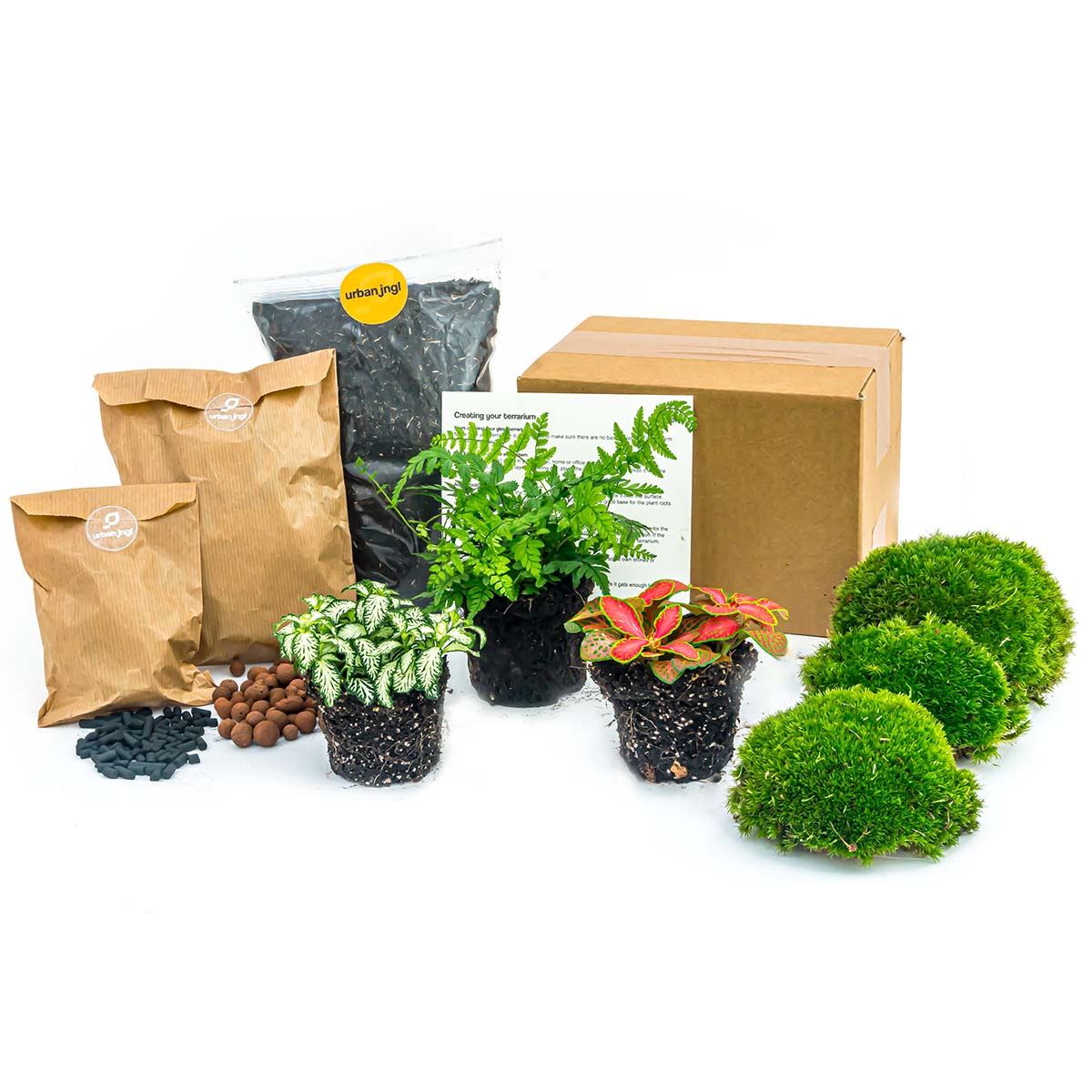 terrarium starter kit with plants Fern - Plant Terrarium Refill & Starter kit - 3 terrarium plants