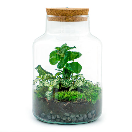 Planten terrarium • Little Milky + Led lamp • Ecosysteem plant • ↑ 25 cm