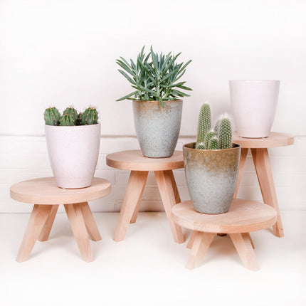 Tibbe – Houten plantentafel of terrariumtafel