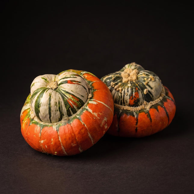 Turkse muts pompoen - Echt - Ø ca. 18 cm - ca. 1,6 kg