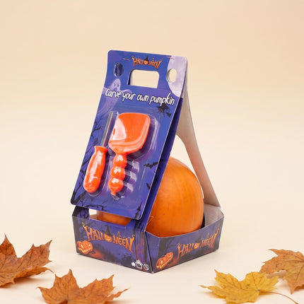 Halloween Kürbis Schnitzset - Echter Kürbis inklusive - Ø 15 cm