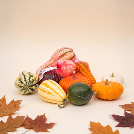 Decoration Pumpkins Net Bag - Ornamental Fruit - Set of 5 - Ø 9 cm