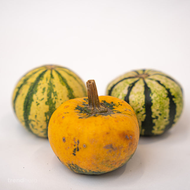 Kürbis (Pumpkin) Mini Set (3 Stück, 6–8 cm) – Natürliche Herbstdekoration