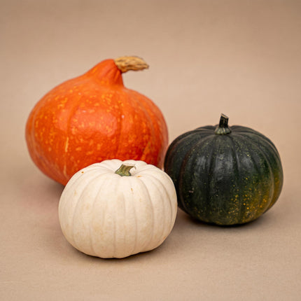 Pumpkin set - Real - Hokkaido, Black Cat, White - 3 pcs