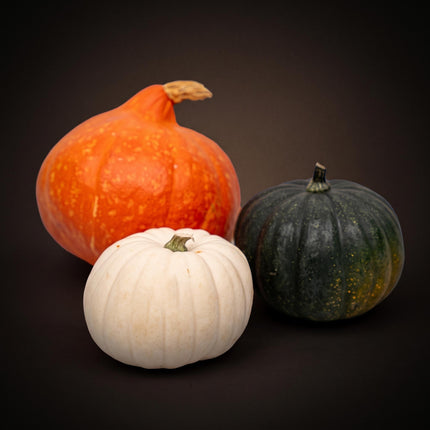 Pumpkin set - Real - Hokkaido, Black Cat, White - 3 pcs