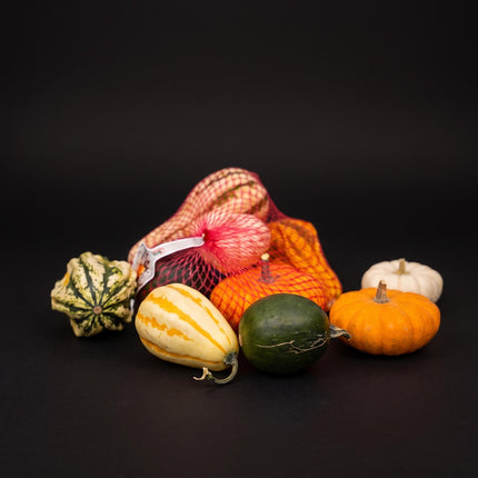 Decoration Pumpkins Net Bag - Ornamental Fruit - Set of 5 - Ø 9 cm