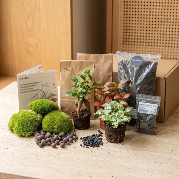 Gereedschap voor je terrarium