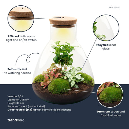 Sam Coffea - Flaschengarten mit Licht - DIY Terrarium mit Pflanzen im Glas - Ø 24,5 cm ↑ 30 cm 