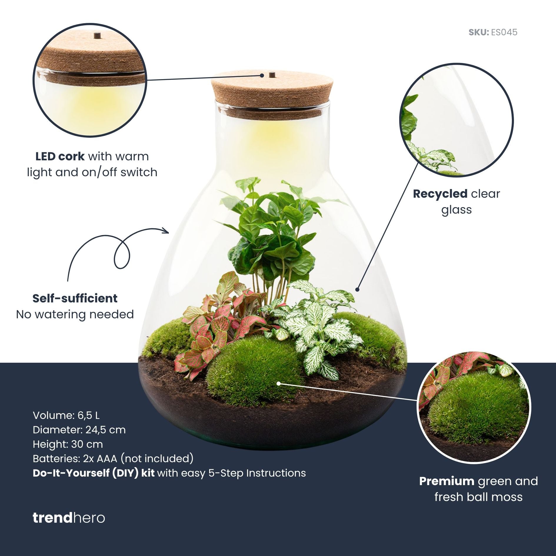 homemade plant terrarium DIY Terrarium Kit - Create your own mini Ecosystem