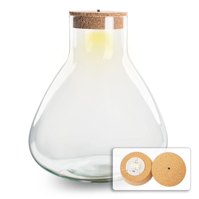 Terrarium bottle 'Sam XL' - Incl. LED cork - Closed terrarium Ø 30 cm ↑ 32 cm