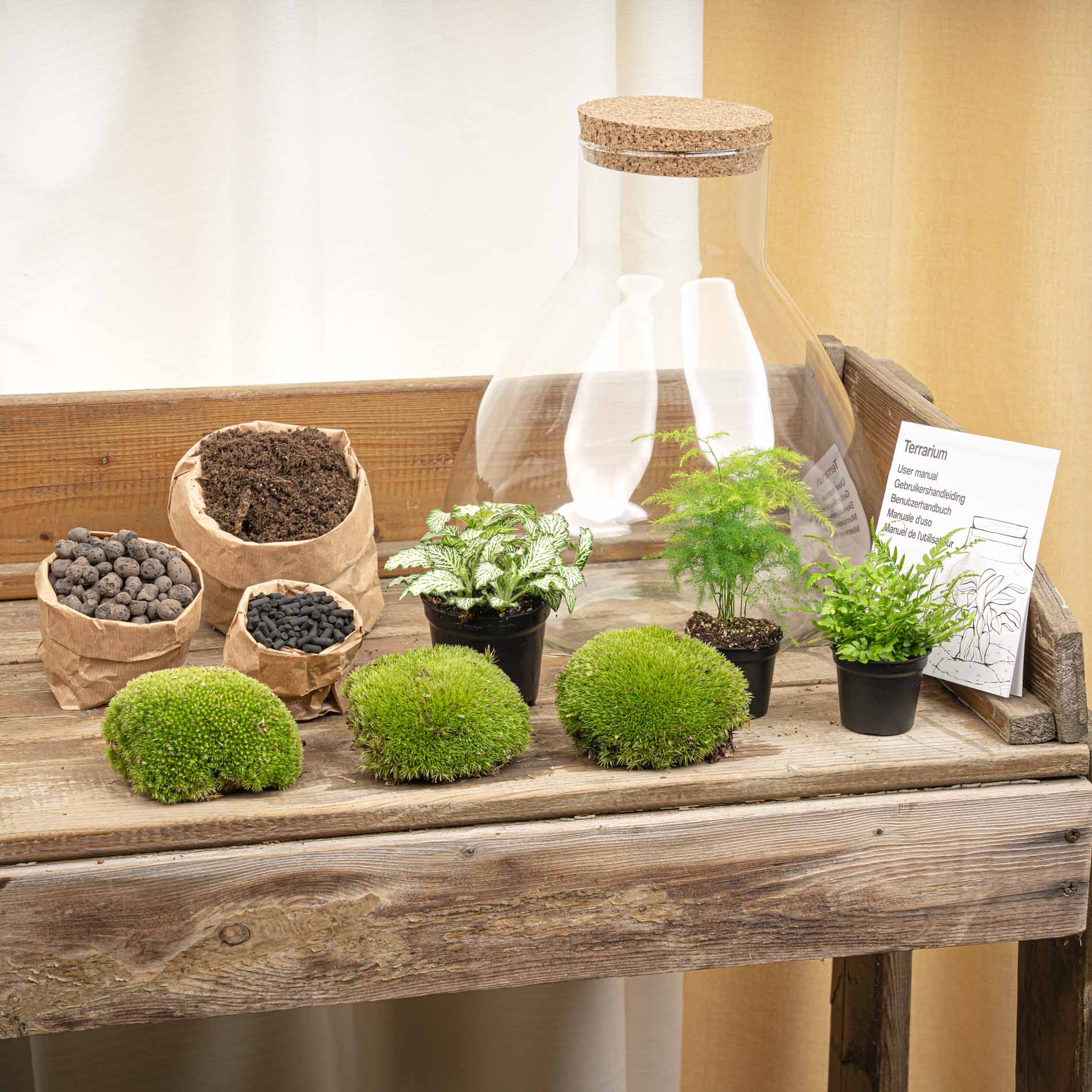 build your own succulent terrarium kit DIY Terrarium Kit - Create your own mini Ecosystem
