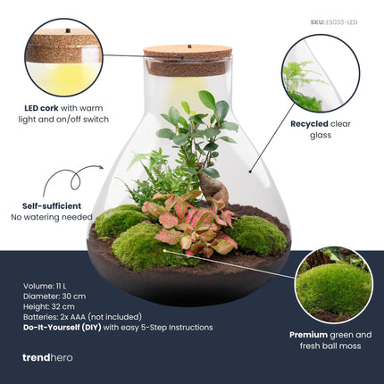 Sam XL Bonsai - Flaschengarten mit Licht - DIY Terrarium mit Pflanzen im Glas - Ø 30 cm ↑ 32 cm