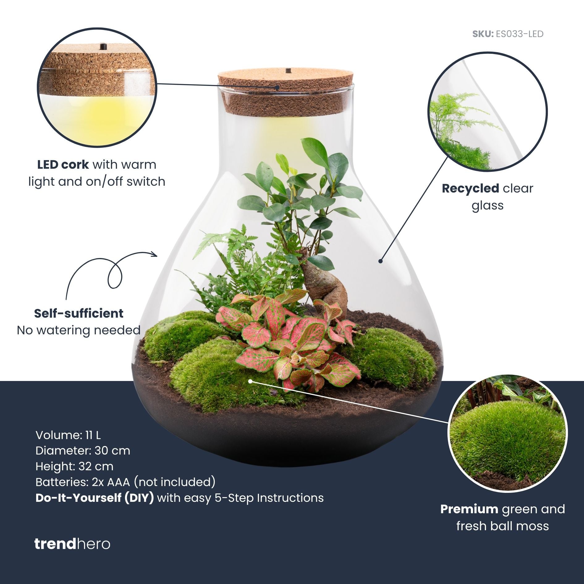 terrarium with bonsai tree DIY Terrarium Kit - Create your own mini Ecosystem