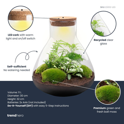 Sam XL - Flaschengarten mit Licht - DIY Terrarium mit Pflanzen im Glas - Ø 30 cm ↑ 32 cm