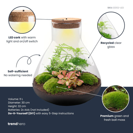 Sam XL Rot - Flaschengarten mit Licht - DIY Terrarium mit Pflanzen im Glas - Ø 30 cm ↑ 32 cm
