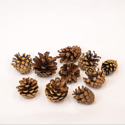 Pine cones decoration