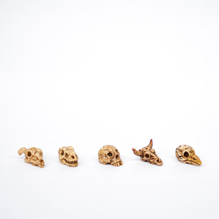 Mini Skull set - 5 Stk. - Miniaturfiguren ↔ 2 cm ↑ 1 cm