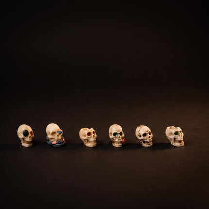 Skulls Gone Wild - 6 pcs - Miniature figurines - Ø 1cm ↑ 2cm