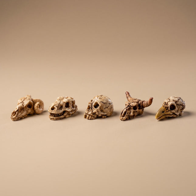 Mini Skull set - 5 stuks - Miniatuurfiguurtjes ↔ 2 cm ↑ 1 cm