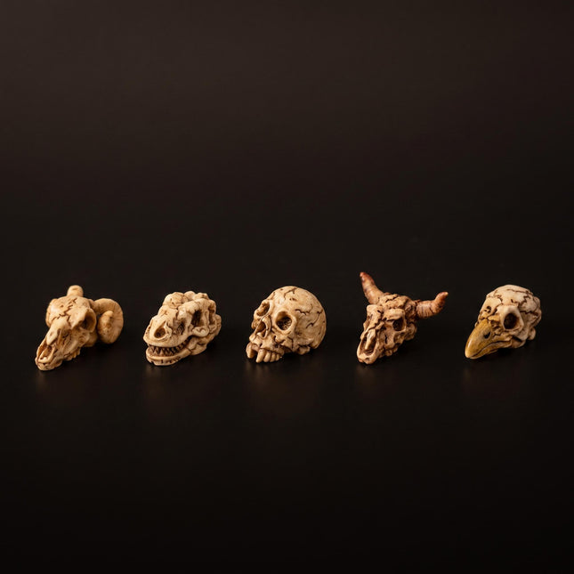 Mini Skull set - 5 stuks - Miniatuurfiguurtjes ↔ 2 cm ↑ 1 cm