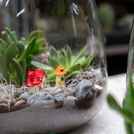 Emma Mini Succulent - Open terrarium - Bottle garden DIY kit - Ø 19 cm ↑ 20 cm