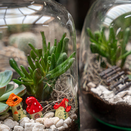 Milky Succulent - Open terrarium - Bottle garden DIY kit - Ø 21 cm ↑ 30 cm
