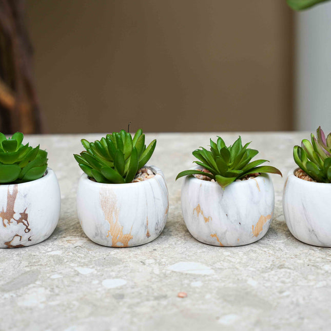 Kunst mini vetplanten mix in marmeren pot - Vetplanten mix set 4 - ↑ 10 cm