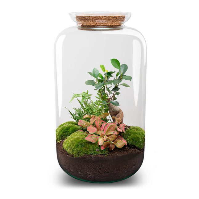 Sven XL Bonsai - Terrarium with light - Bottle garden DIY kit - Ø 23 cm ↑ 43 cm