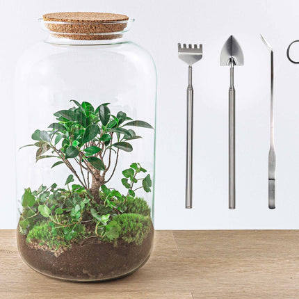 Terrarium DIY Kit - Sven Hedera Bonsai - Bottle Garden - ↑ 43 cm