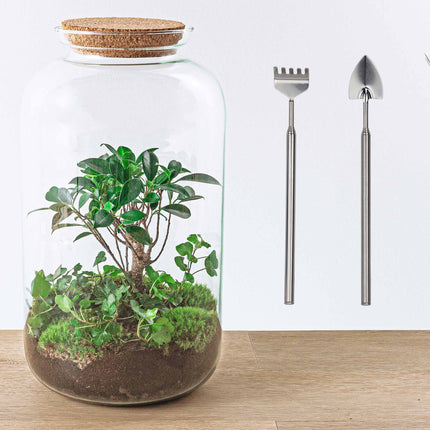 Flaschengarten • Sven Hedera Bonsai • Ökosystem mit Pflanzen im Glas • ↑43 cm