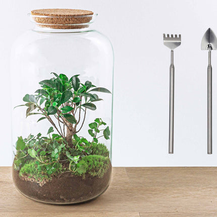 Flaschengarten • Sven Hedera Bonsai • Ökosystem mit Pflanzen im Glas • ↑43 cm