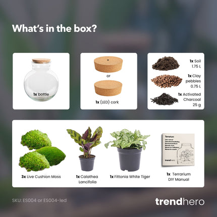 Teddy - Flaschengarten mit Licht - DIY Terrarium mit Pflanzen im Glas - Ø 25 cm ↑ 26,5 cm