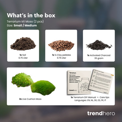 Pflanzenterrarium – Nachfüllset – Starterset – DIY – Größe S/M
