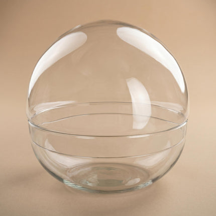 Terrarium fles 'Dome XL' - Tweedelig bolglas - Gesloten terrarium Ø 28 cm ↑ 28 cm
