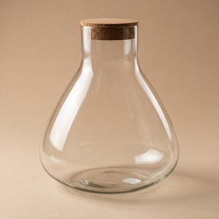 Terrarium bottle 'Sammie' with cork - Closed terrarium Ø 22.5 cm ↑ 27 cm