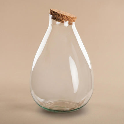 Terrarium fles ‘Drop XL’ met kurk - Gesloten terrarium  Ø 29 cm ↑ 37 cm 
