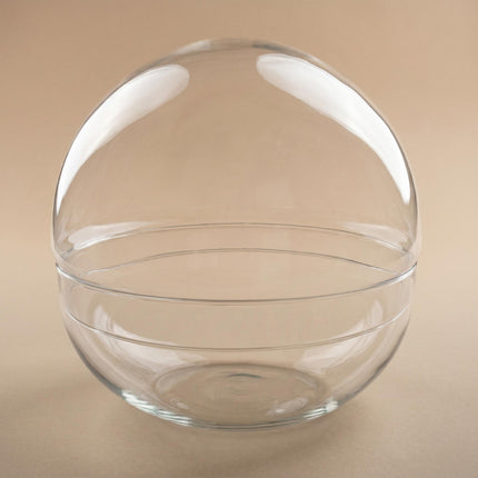 Terrarium bottle ‘Dome’ – Two-part round glass – Closed terrarium Ø 20 cm ↑ 20 cm