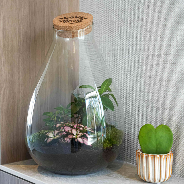 'LOVE MOM' terrarium Drop XL + Engraved cork - Bottle garden DIY kit – Ø 24 cm ↑ 37 cm