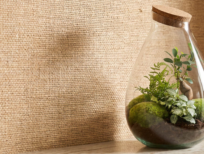 terrarium ecosystem in glass