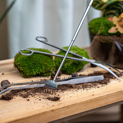 Terrarium Tools Bundle – Black Friday Deal
